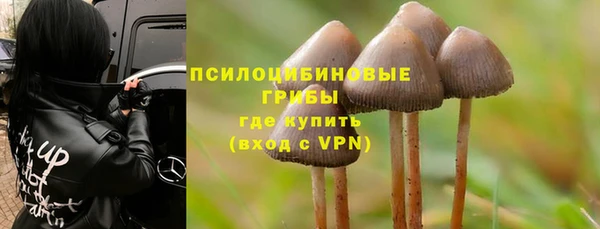 PSILOCYBIN Лагань