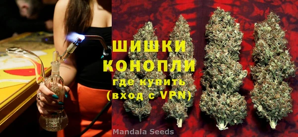 PSILOCYBIN Лагань