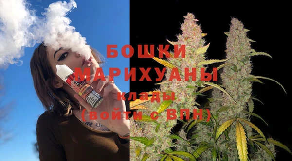 PSILOCYBIN Лагань