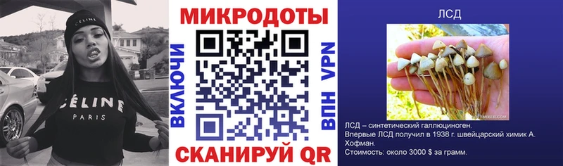 Псилоцибиновые грибы мицелий  хочу наркоту  Елизаветинская 